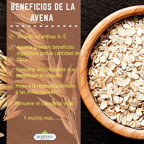 BENEFICIOS DE LA AVENA