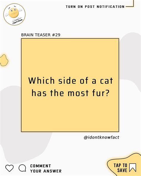 Traipsinggallivanter What Side Of A Cat Has The Most Fur Feline