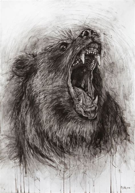 Animals Charcoal Drawing On Behance Bear Artwork Charcoal Drawing