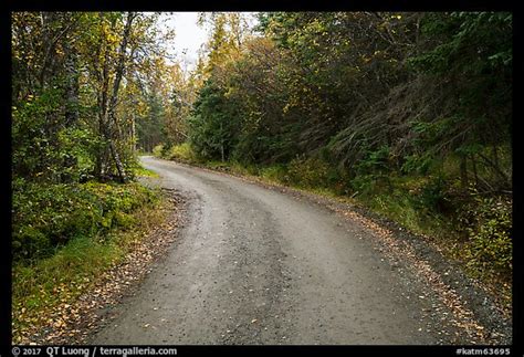 Picture Photo Road Between Brooks Camp And Lake Brooks Katmai National Park