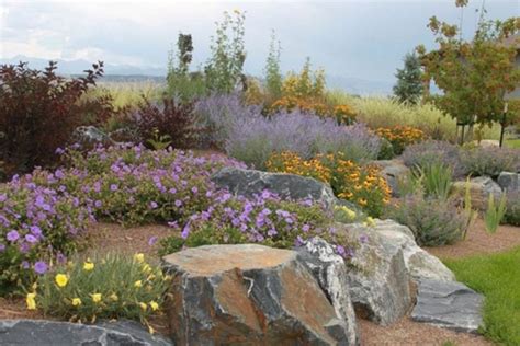 15 Top Xeriscape Landscaping Colorado Inspirations You Need To Know