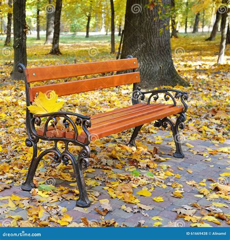 Autumn Park With Paths And Benches Stock Photo Image Of Color