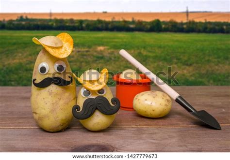 Funny Potato Head Face On Nature Stock Photo 1427779673 Shutterstock