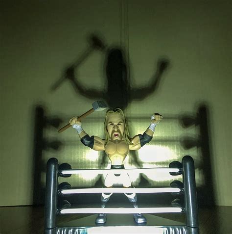 The Cerebral Assassin Triple H Ractionfigures
