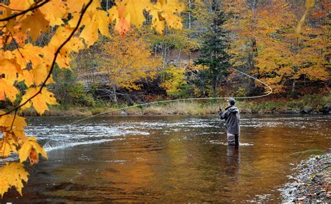 Autumn Fly Fishing With Southern Appalachian Anglers The Laurel Of