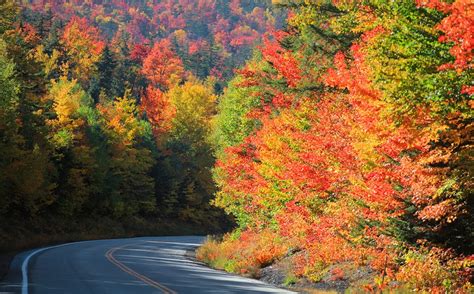 The Best Places To See Fall Foliage In The White Mountains