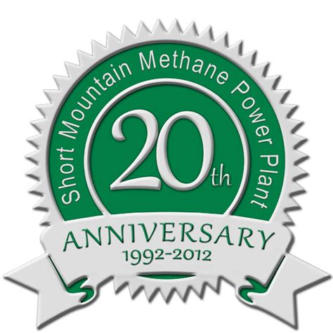 20th Anniversary logo | Anniversary logo, Anniversary, 20th anniversary