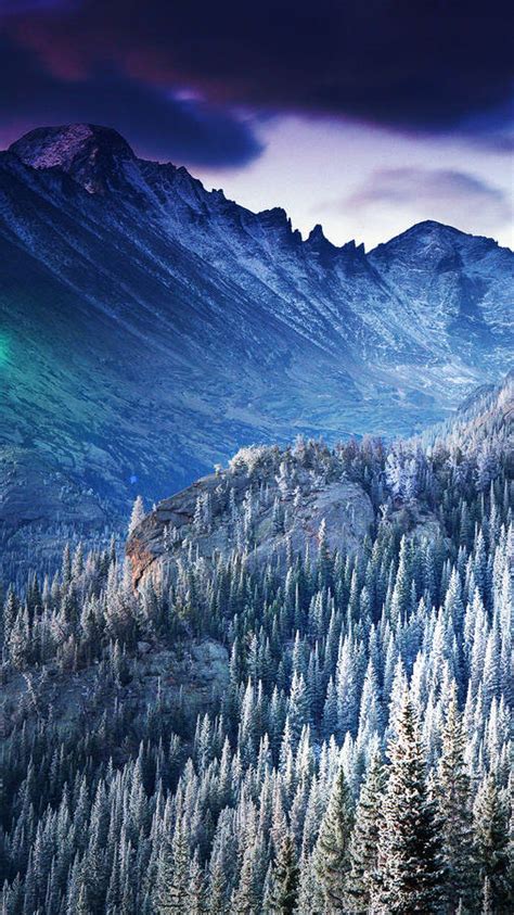 Download Winter Mountain Ranges And Trees Smartphone Background
