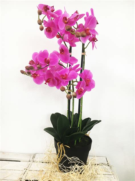 Kunst Orchidee Plant Roze 75 Cm 5 Taks Vol Bloemen Hoesjesweb Nl