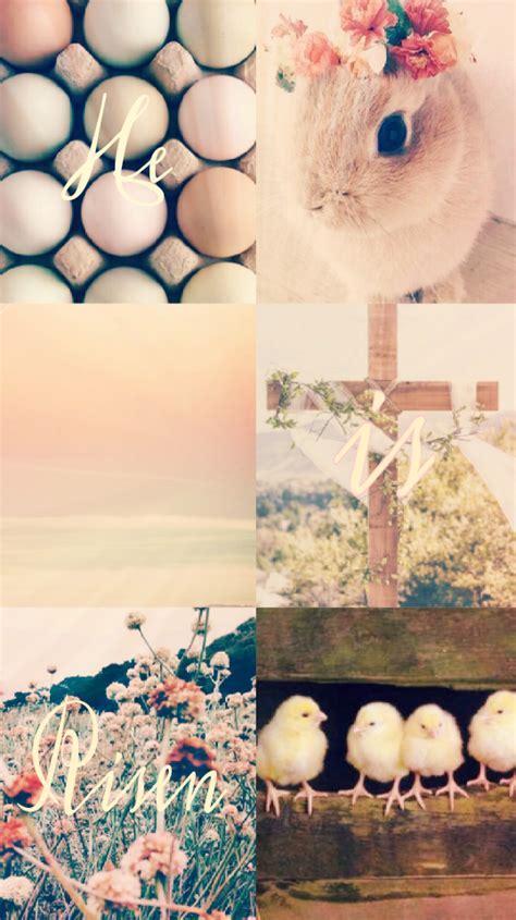 25 Top Wallpaper Aesthetic Easter You Can Save It For Free Aesthetic
