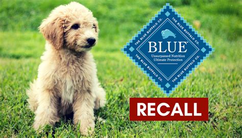 Truthfully blue buffalo and blue wilderness pet foods have been plaqued with an 8 year pet food recall; Blue Buffalo Dog Food Recalled | Dog food recall, Dogs ...