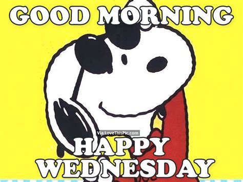 Good Morning Happy Wednesday Good Morning Wednesday Funny Good