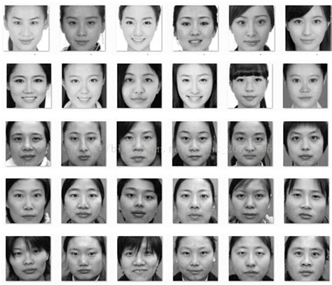 颜值表（人脸检测、性别判别、美丽度估计） 测颜值 csdn博客