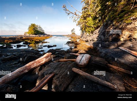 Coastal British Columbia Beach Hi Res Stock Photography And Images Alamy