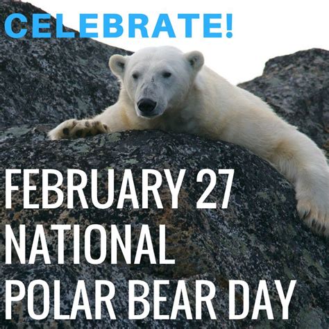 National Polar Bear Day February 27 Cute Animals Images Polar