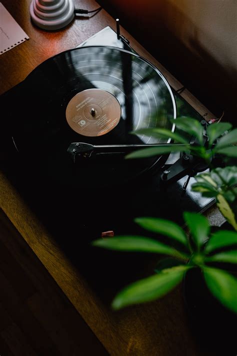 750 Vinyl Pictures Hq Download Free Images On Unsplash