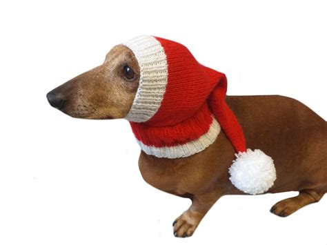 Santa Hat For Dog Christmas Santa Hat For Dog Santa Hat For Etsy In
