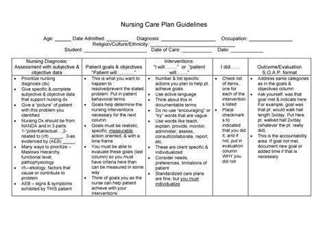 Care Plan Guide Adpie Nursing Care Plan Guidelines Age Date