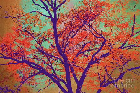 Trees Fall Colors 67a Digital Art By Chris Taggart Fine Art America