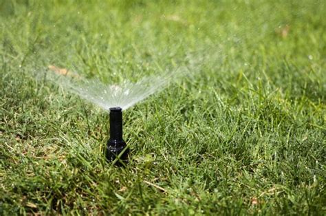 Irrigation Services Caretakers Property Maintenance