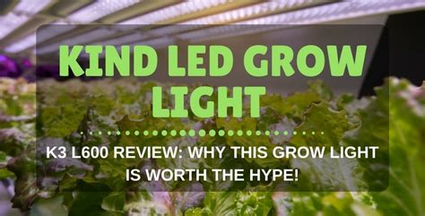 Kind Led Grow Light K3 L600 Review Why This Grow Light Is Worth The Hype