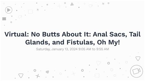Virtual No Butts About It Anal Sacs Tail Glands And Fistulas Oh My
