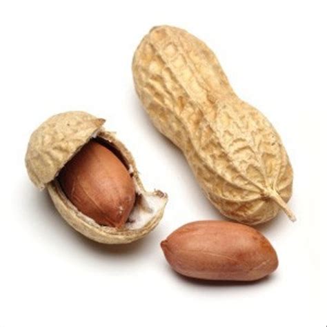 manfaat konsumsi kacang kacangan bagi kesehatan metabolik