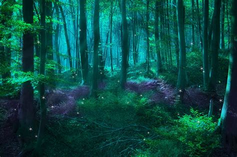Enchanted Forest Background Mystical Forest Hd Wallpaper Pxfuel