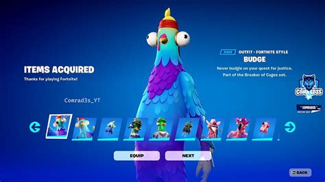 Getting Birds Of A Feather Bundle Early Fortnite Birds Skins Youtube