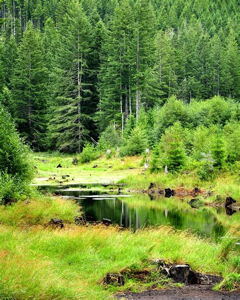 Barney Reservoir 17293 Photograph By Jerry Sodorff Fine Art America