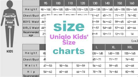 Uniqlo Kids Size Charts Size When Size Matters