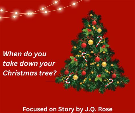 Focused On Story When Do You Take Down Your Christmas Tree