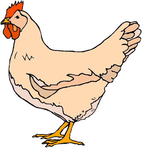 Free Pictures Of Chickens On A Farm Download Free Pictures Of Chickens On A Farm Png Images