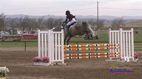 176s Natalie Brady On Sky Ryder Training Horse Show Jumping Twin Rivers