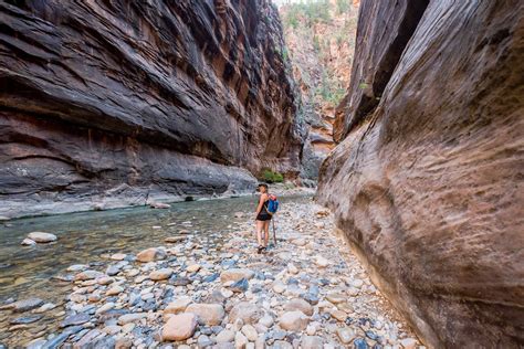 How To Hike The Narrows At Zion The Traveling Traveler