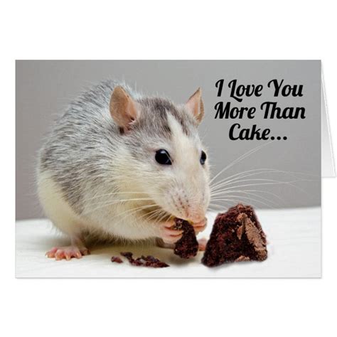 Cute Rat Birthday Cards Zazzle Ca