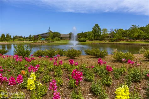 Huntsville Botanic Garden Green Heart Rocket City Travelure