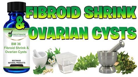 Fibroid Shrink And Ovarian Cysts Natural Remedy By Bestmade Natural