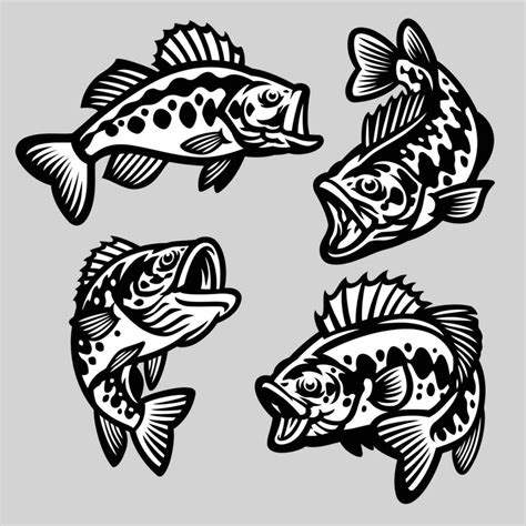 Set Cartoon Largemouth Bass Fish 23173032 Vector Art At Vecteezy