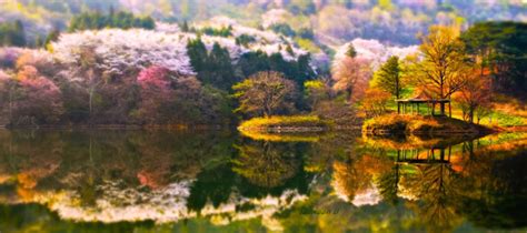 Beautiful Nature Photography By Jaewoon U Incredible Snaps