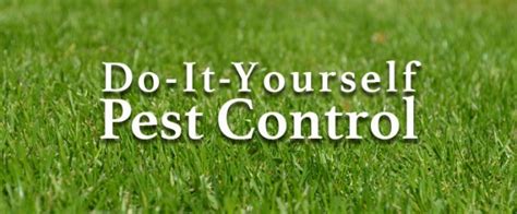 Select pest control or lawn care to identify your problem and shop our online solutions. DIY Pest Control - Erdye's Pest Control