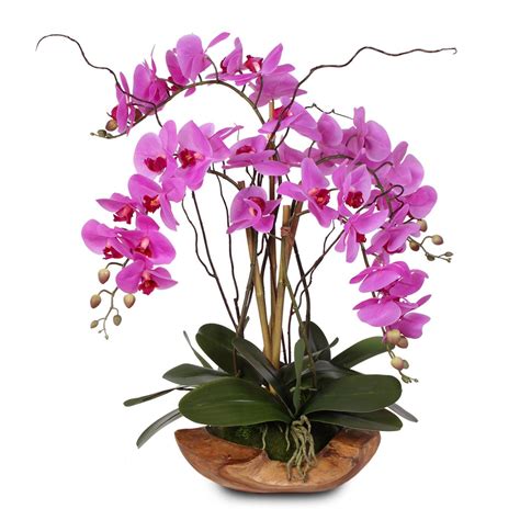 Real Touch 5 Stem Phalaenopsis Silk Orchids In A Natural Teakwood Bowl