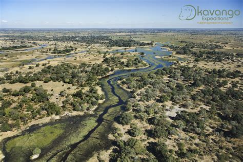 The Okavango Delta Okavango Expeditions