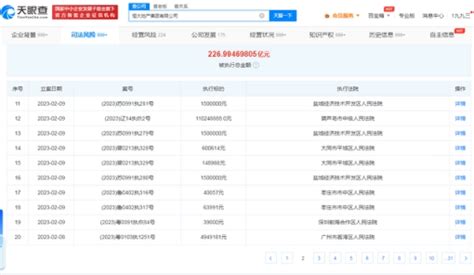 媒体恒大地产再被执行超14亿元 恒大地产欠债最新消息 项目城网