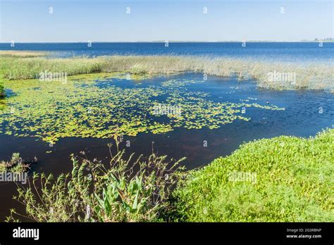 Wetlands In Nature Reserve Esteros Del Ibera Argentina Stock Photo Alamy