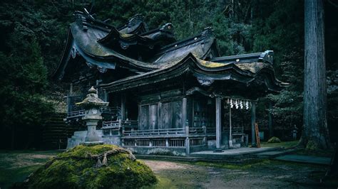 まるで異世界！日本の美しすぎる神社7選 幻想的な空間と神秘的なパワースポット 死ぬまでに行きたい！秘境にある絶景 alo japan