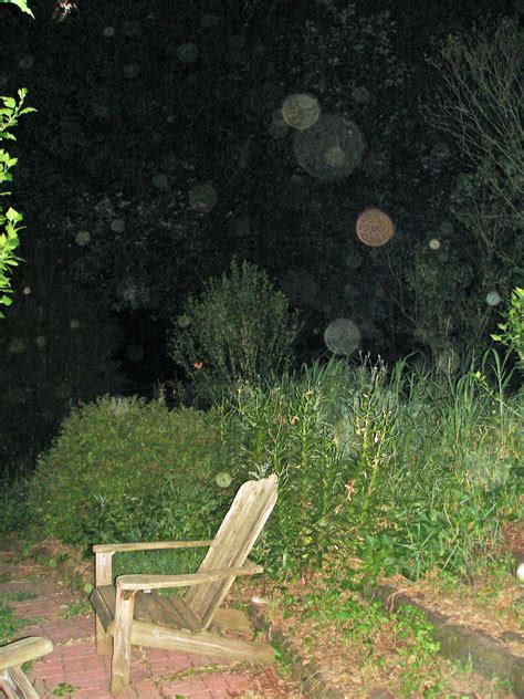 Pin by Joanne Ehling Harper on Orbs and the Unexplained | Paranormal