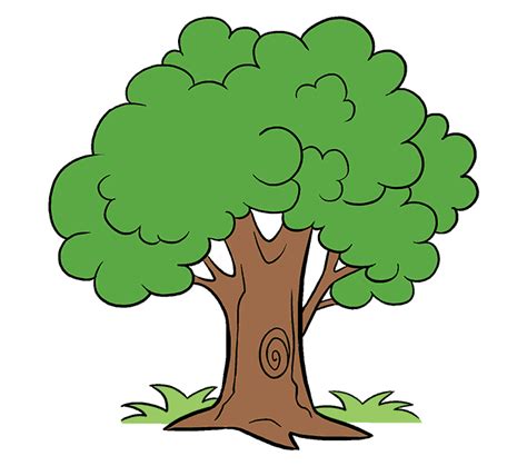 How To Draw A Cartoon Tree Easy Step By Step Drawing Guides