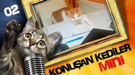 Konuşan Kediler Mini 2 En Komik Kedi Videoları Youtube