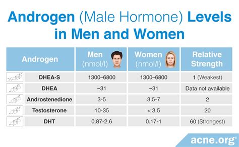 The Role Of Testosterone In Acne Acne Org